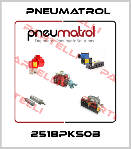 2518PKS0B Pneumatrol