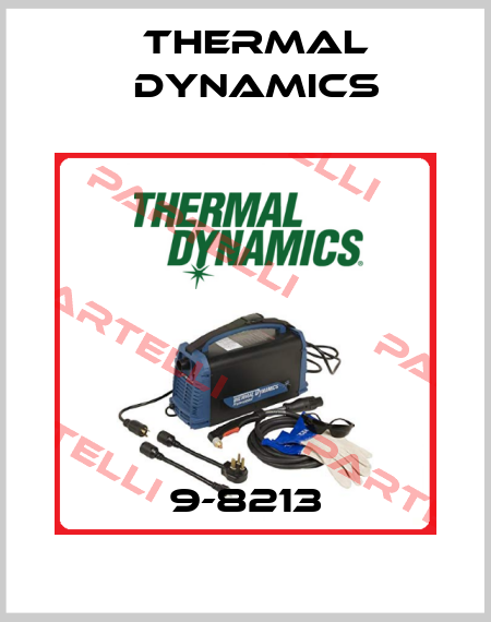 9-8213 Thermal Dynamics