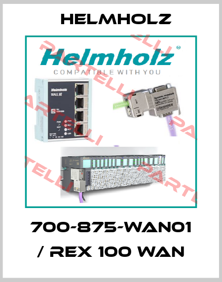 700-875-WAN01 / REX 100 WAN Helmholz