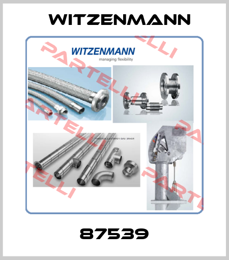 87539 Witzenmann