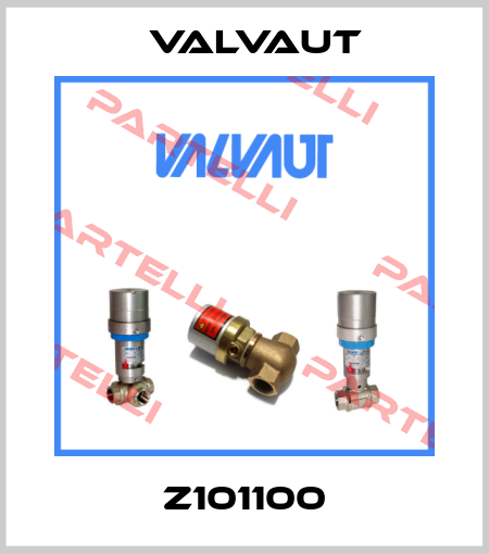 Z101100 Valvaut