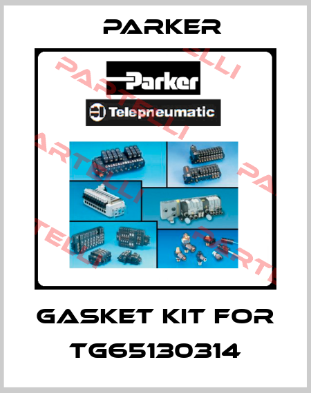 Gasket kit for TG65130314 Parker