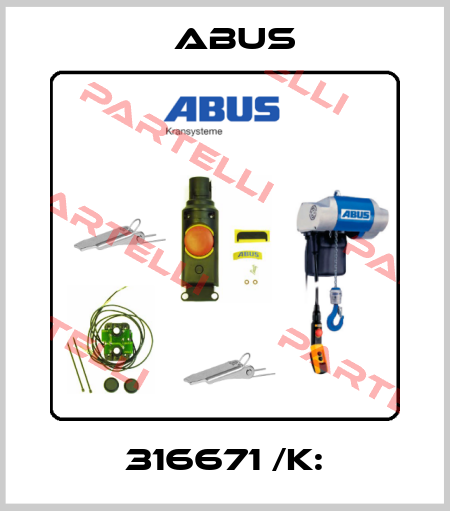 316671 /K: Abus