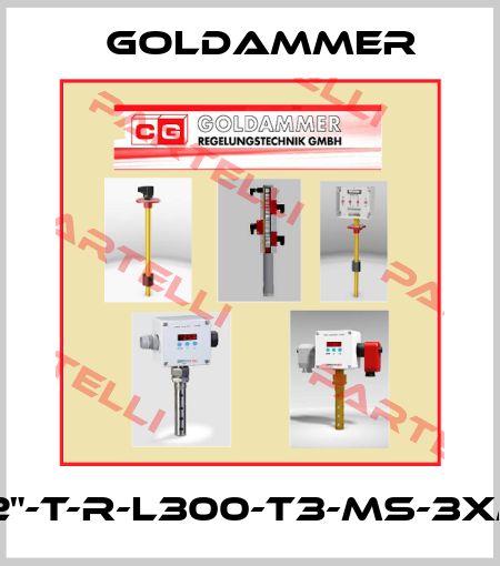 G1/2"-T-R-L300-T3-MS-3xM12 Goldammer