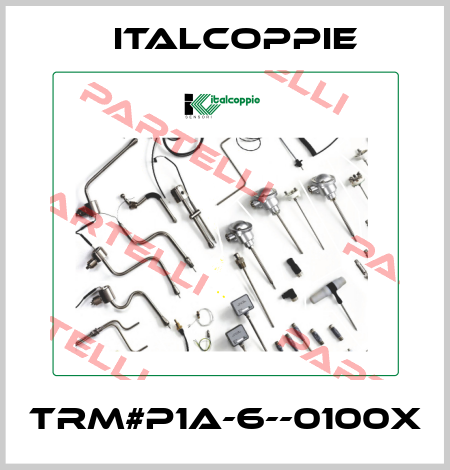 TRM#P1A-6--0100X italcoppie
