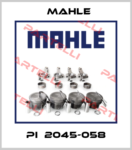 PI  2045-058 MAHLE