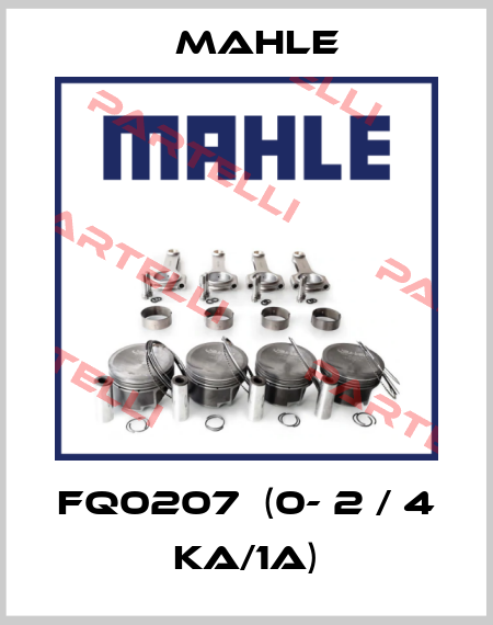 FQ0207  (0- 2 / 4 kA/1A) Mahle