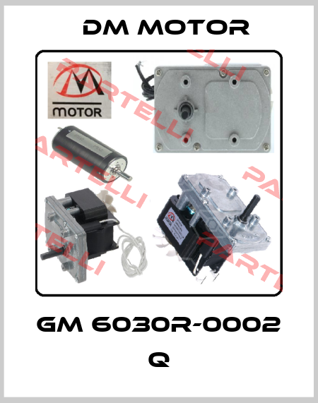 GM 6030R-0002 Q DM Motor
