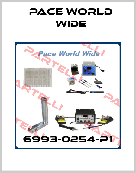6993-0254-P1 Pace World Wide