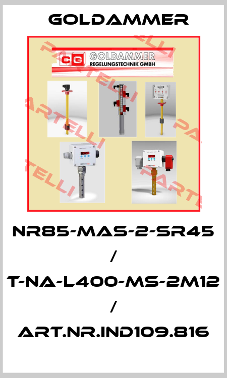 NR85-MAS-2-SR45 / T-NA-L400-MS-2M12 / Art.Nr.IND109.816 Goldammer
