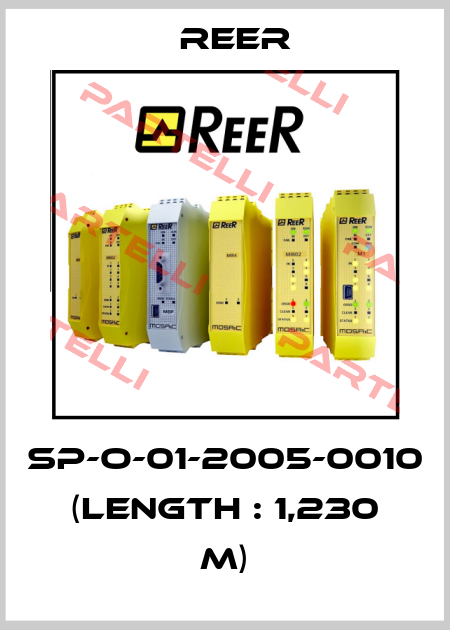SP-O-01-2005-0010 (Length : 1,230 m) Reer