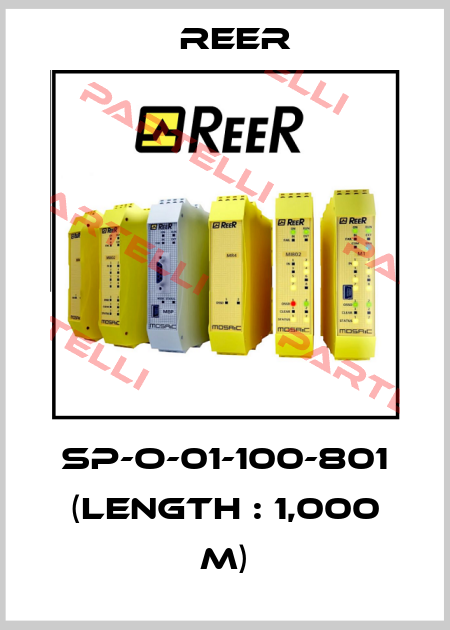 SP-O-01-100-801 (Length : 1,000 m) Reer