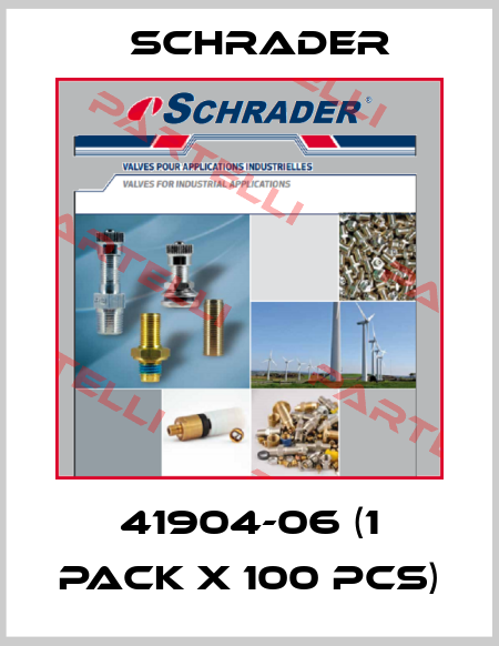 41904-06 (1 pack x 100 pcs) Schrader