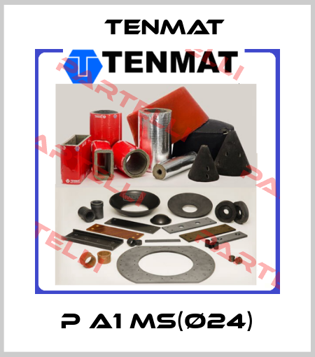 P A1 MS(Ø24) TENMAT
