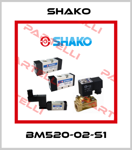 BM520-02-S1 SHAKO