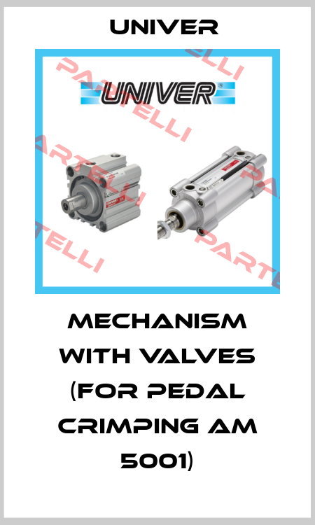 MECHANISM WITH VALVES (FOR PEDAL CRIMPING AM 5001) Univer