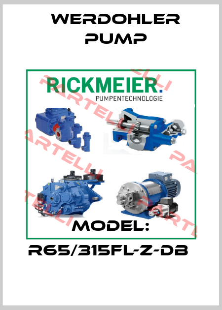 MODEL: R65/315FL-Z-DB  Werdohler Pump