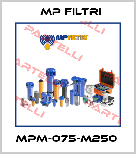 MPM-075-M250  MP Filtri