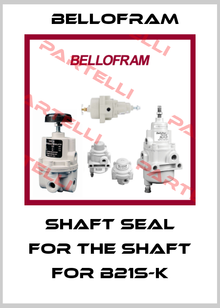 Shaft seal for the shaft for B21S-K Bellofram