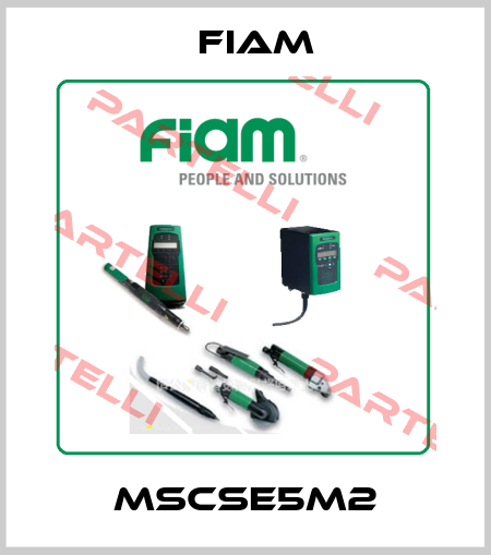 MSCSE5M2 Fiam
