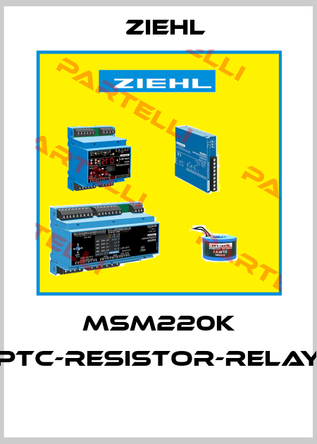 MSM220K PTC-RESISTOR-RELAY  Ziehl