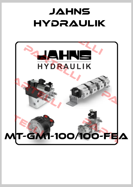 MT-GM1-100/100-FEA  Jahns hydraulik