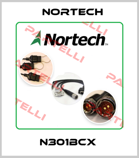 N301BCX  Nortech