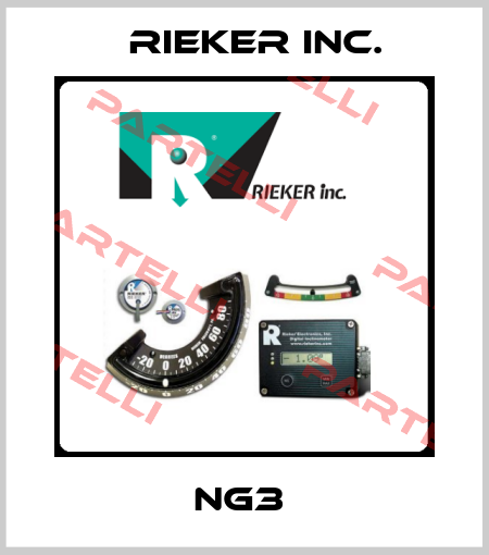NG3  Rieker Inc.