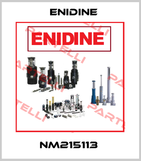 NM215113  Enidine
