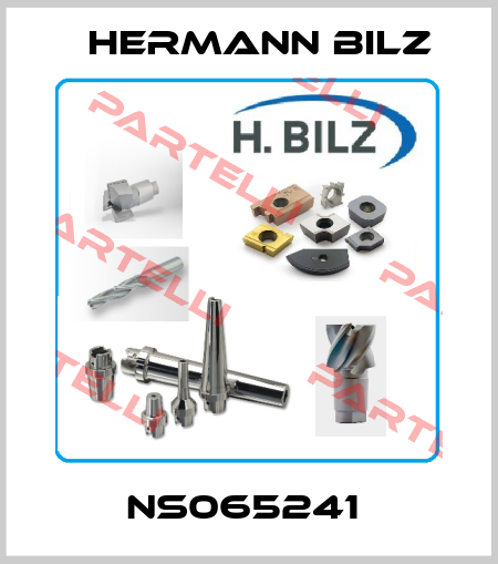 NS065241  Hermann Bilz