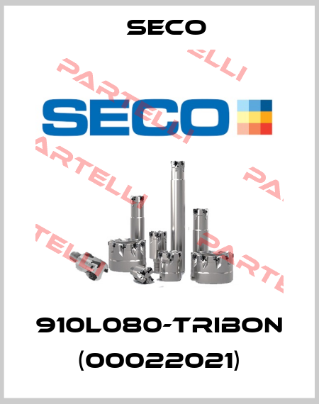 910L080-TRIBON (00022021) Seco