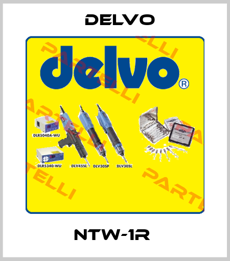 NTW-1R  Delvo