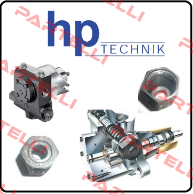 O-RING/ BIK-5103-1-2  HP Technik