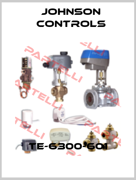 TE-6300-601 Johnson Controls