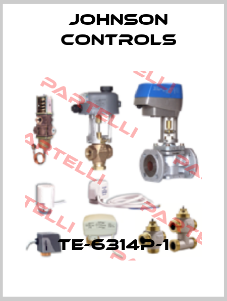 TE-6314P-1 Johnson Controls