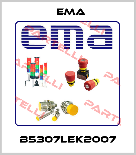 B5307LEK2007 EMA