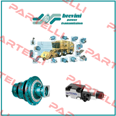 179R3163A-313 Brevini