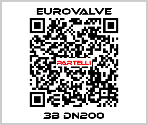3B DN200 Eurovalve