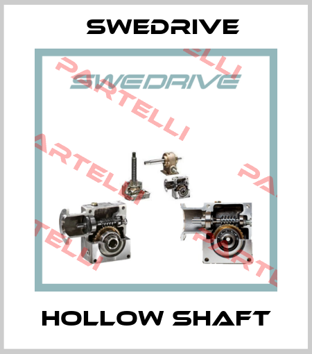 Hollow shaft Swedrive
