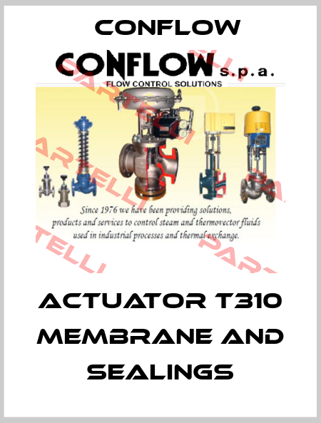 ACTUATOR T310 MEMBRANE AND SEALINGS CONFLOW
