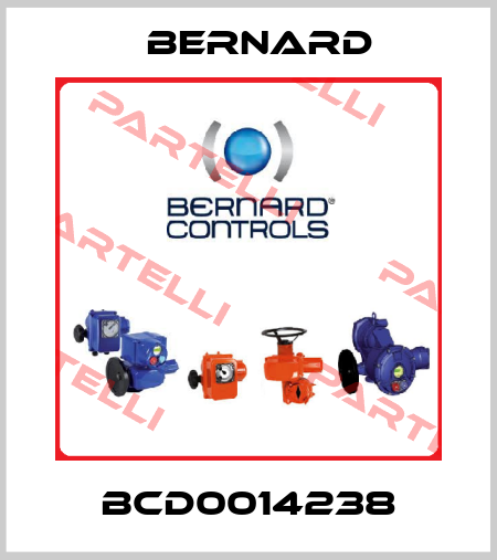 BCD0014238 Bernard