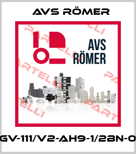 EGV-111/V2-AH9-1/2BN-00 Avs Römer