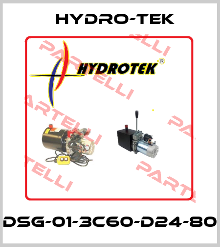 DSG-01-3C60-D24-80 Hydro-Tek