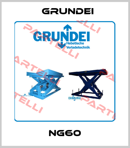 NG60 Grundei
