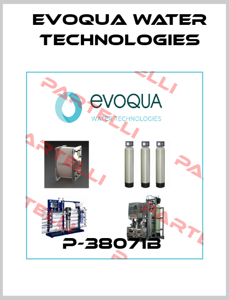 P-38071B  Evoqua Water Technologies