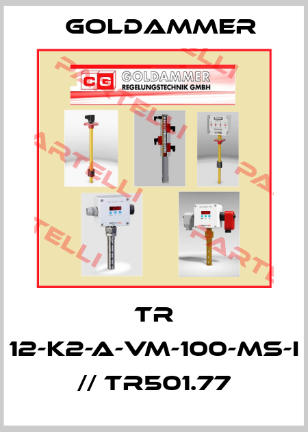 TR 12-K2-A-VM-100-MS-I // TR501.77 Goldammer