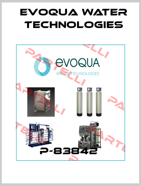 P-83842  Evoqua Water Technologies