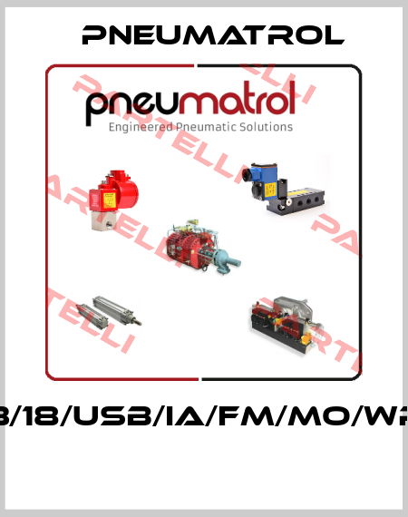 PA123/18/USB/ia/FM/MO/WP/NPT  Pneumatrol