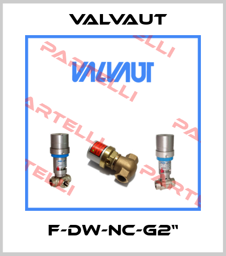 F-DW-NC-G2“ Valvaut