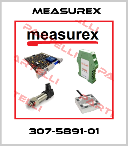 307-5891-01 Measurex